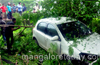 Car lands in gorge near Tannirbavi; occupants flee